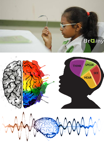 Whole Brain Development
