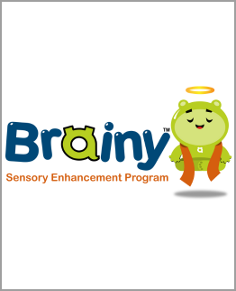 Brainy SE Program